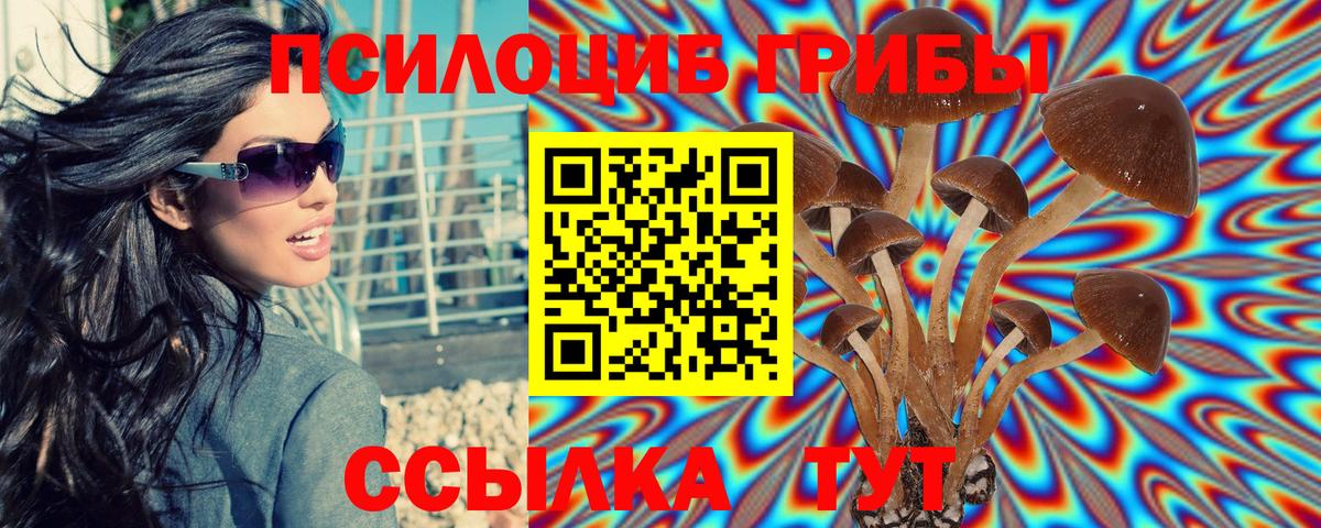 Псилоцибиновые грибы Psilocybe Керчь